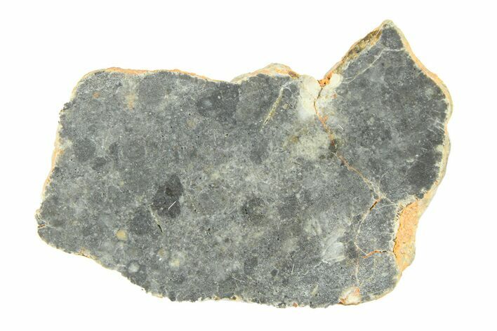 Lunar Meteorite ( g) Slice - Bechar #291674